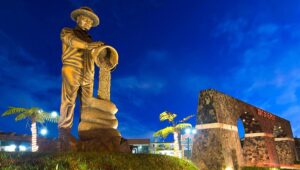 Lee más sobre el artículo XICOTEPEC